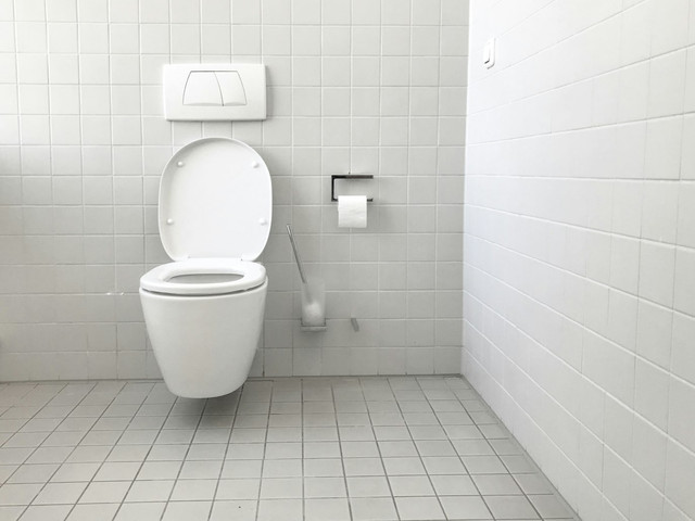  Ilustrasi Cara Mengatasi WC Mampet. Sumber: Unsplash/Jan Antonin Kolar