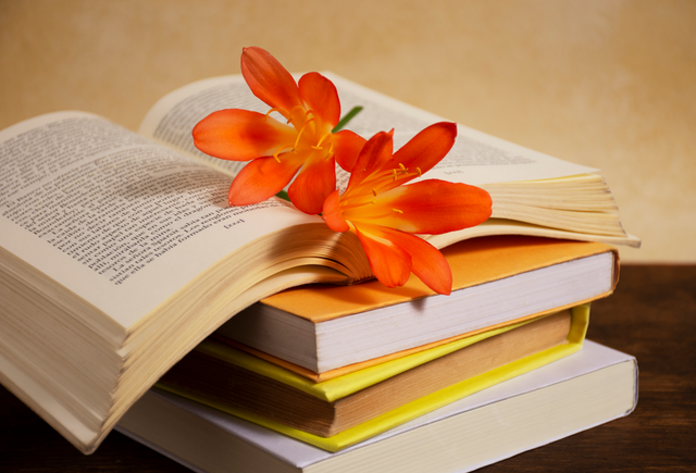 Peringatan Hari Buku Nasional. Kredit foto by: Meirinda Dyah Anugrah (dok: Freepik)