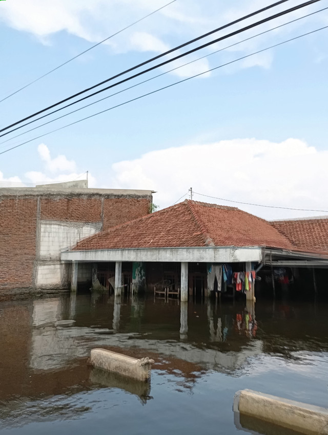 Rob Desa Sriwulan Sayung Demak (Foto: dok pribadi) 