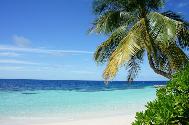 Pantai Pancer Door Pacitan. Foto Hanya Ilustrasi, Bukan Sebenarnya. Sumber Foto: Unsplash.com/Pedro Monteiro