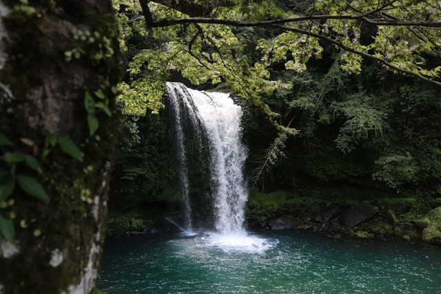 Curug Cibulao. Foto hanya ilustrasi, bukan tempat sebenarnya. Sumber: Unsplash/SLNC