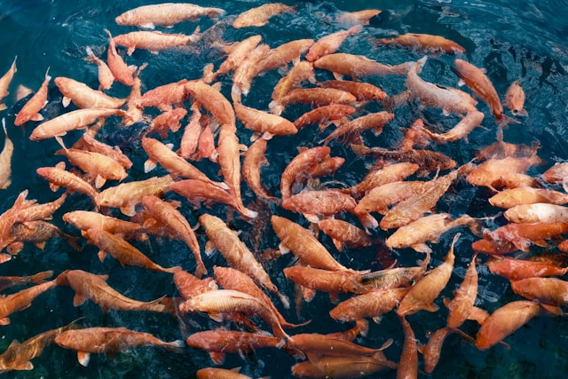 Sendang Asmoro Tuban. Foto hanya ilustrasi, bukan sebenarnya. Sumber: unsplash.com/Chris Zhang