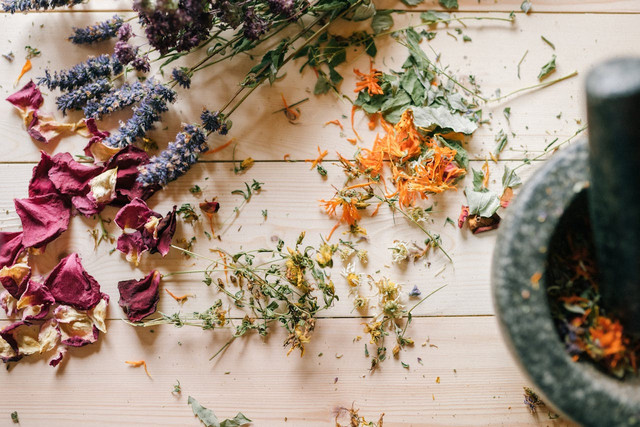 Ilustrasi jenis tanaman obat. Foto: Pexels.com