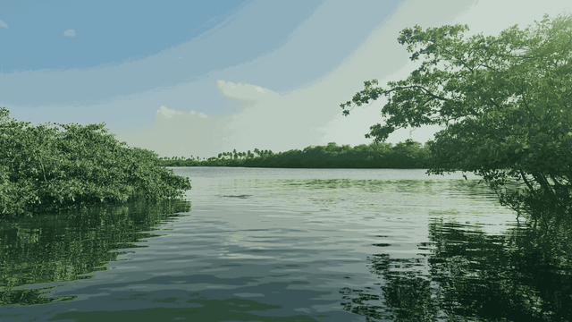 Ilustrasi Ekosistem Mangrove (Sumber: Pribadi)