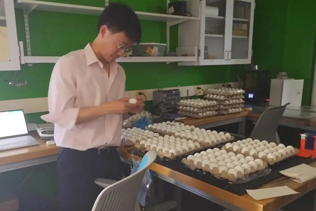 Peneliti MIT menemukan metode penyimpanan telur. Foto: Massachusetts Institute of Technology (MIT)