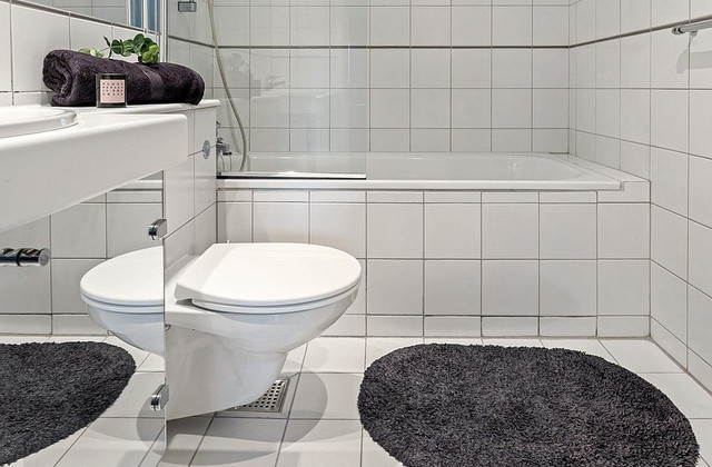 Ilustrasi merk closet duduk terbaik - Sumber: pixabay.com/lisaphotos195