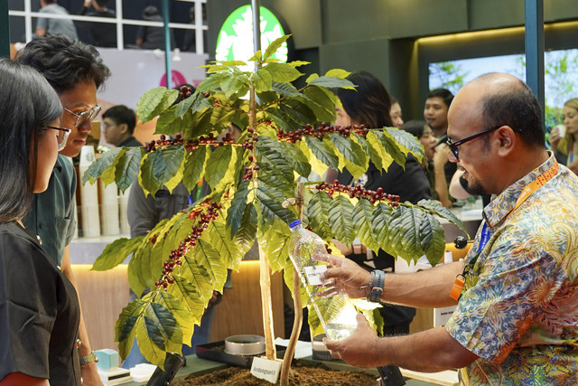 Pameran kopi Indonesia di booth Starbucks di event World of Coffee Asia 2025 (16/5/25). Foto: Dok. Starbucks Indonesia