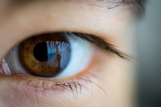 Ilustrasi pemindaian retina yang dilakukan oleh Worldcoin(freepik.com)