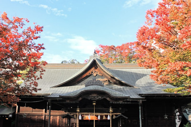 Musim Gugur di Jepang. Foto adalah Musim Gugur. Sumber: Unsplash/Weiqi Xiong