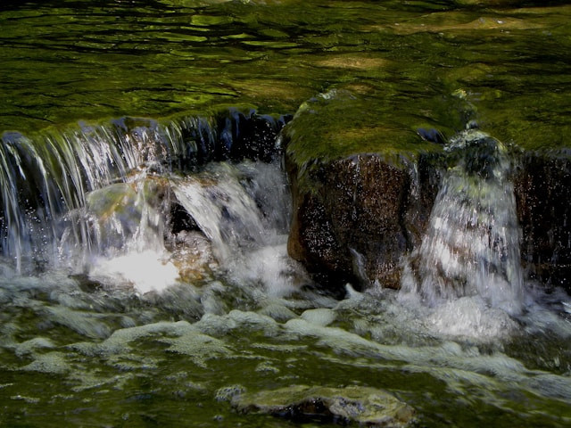 Situ Tirta Marta. Foto hanyalah ilustrasi, bukan tempat yang sebenarnya. Sumber: Unsplash/Doug R. W. Dunigan