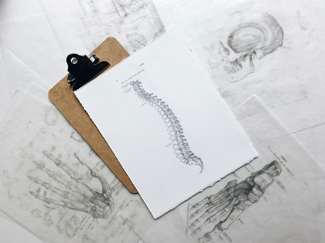Ilustrasi ruas tulang belakang. Foto: Unsplash.com