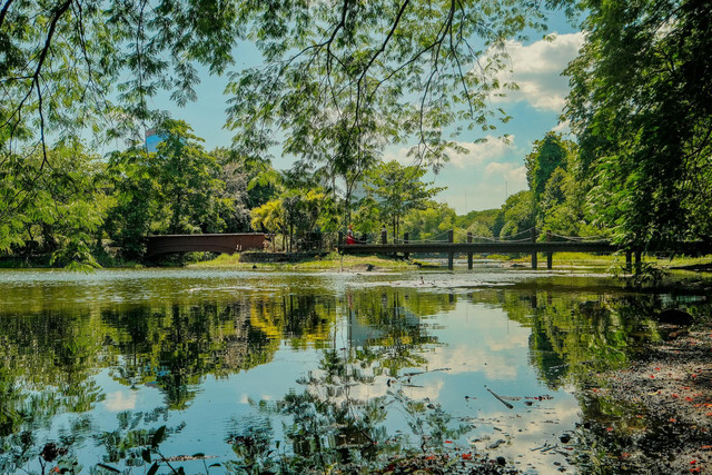 Telaga Pacuh. Foto hanya ilustrasi bukan sebenarnya. Sumber foto: Pexels/Zachary Angeles