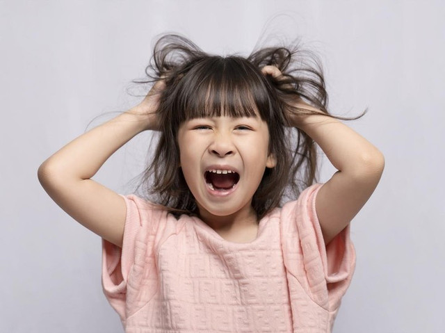 Foto: Getty Images/iStockphoto/Shutthiphong Chandaeng