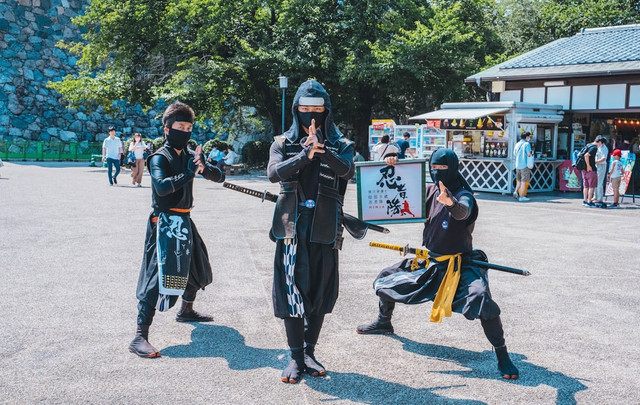 Ilustrasi Siapa yang Menjadi Pemimpin Tertinggi Pasukan Aliansi Shinobi Selama Perang Dunia Ninja Keempat      Sumber Unsplash/Roméo A.
