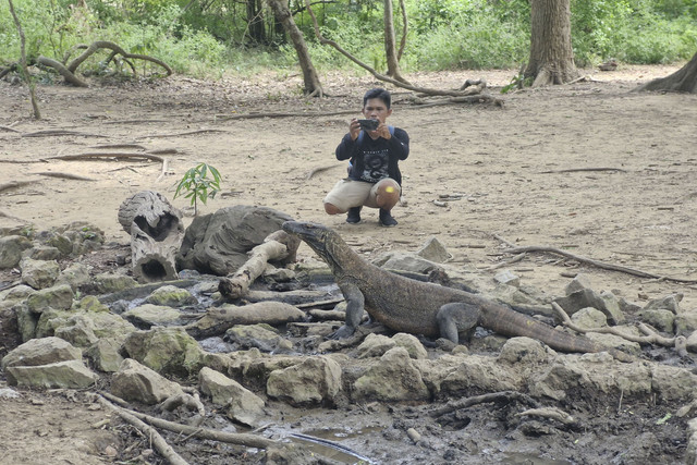 Island Hopping di 3 lokasi di Labuan Bajo, yaitu Pulau Padar, Pulau Komodo, dan Pink Beach. Foto: Nadia Riso/kumparan