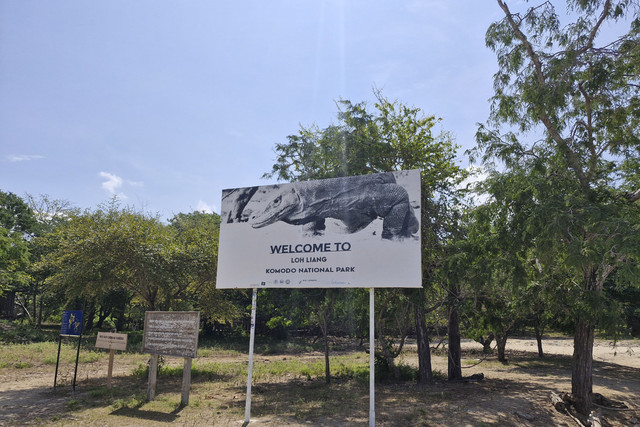Island Hopping di 3 lokasi di Labuan Bajo, yaitu Pulau Padar, Pulau Komodo, dan Pink Beach. Foto: Nadia Riso/kumparan