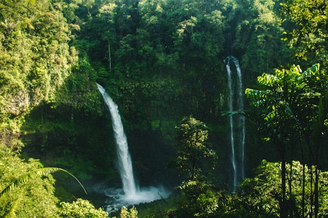 Air terjun Jagir. Foto hanyalah ilustrasi, bukan tempat sebenarnya. Sumber: unsplash/ Hamzah Hanafi.
