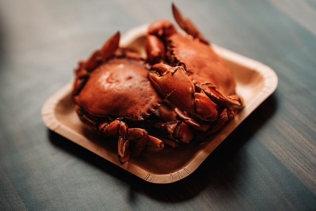 Ilustrasi cara membersihkan kepiting, foto: unsplash/Andrey Stakhovskiy