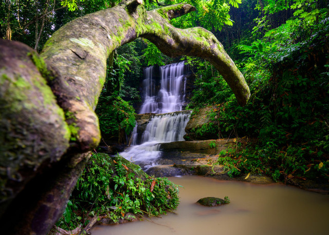 Ilustrasi Tempat Healing di Sentul Bogor. Pexels/Daniel Lee