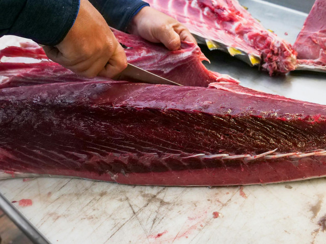 Ilustrasi Cara Fillet Ikan Tuna agar Tetap Lezat dan Cantik, Pexels/Kindel Media