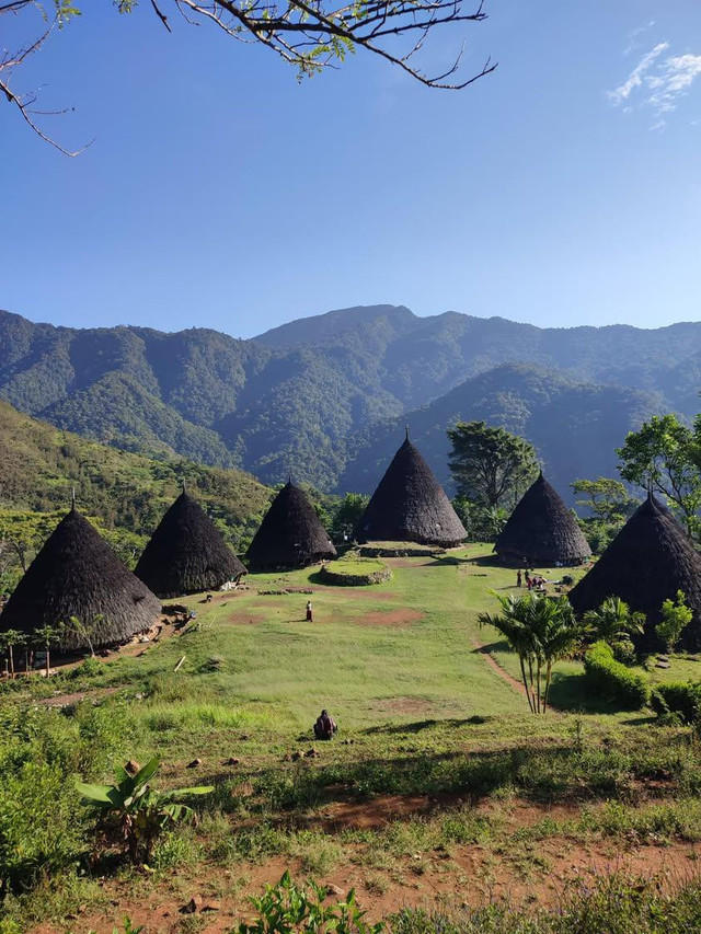  "Pemandangan rumah adat Mbaru Niang di desa Wae Rebo, Flores".Sumber Dokumentasi Pribadi.2024