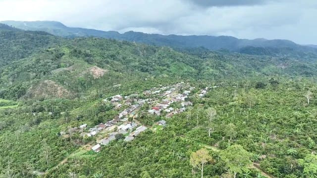 Penampakan bangunan rumah warga di tengah hutan Taman Nasional Bukit Barisan Selatan (TNBBS). | Foto: Dok Istimewa