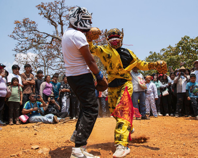 Pelea de Tigre, Acatlán, Guerrero, Meksiko. Photo by Cindy