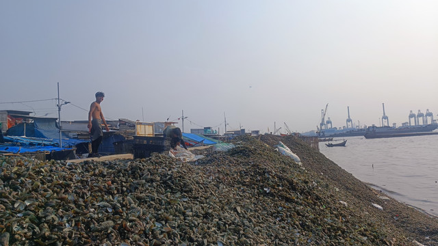 Warga beraktivitas di tumpukan limbah kulit kerang hijau yang menggunung melebihi tanggul laut setinggi 5 meter di kawasan pesisir Cilincing, Jakarta Utara, Rabu (28/5). Foto: Thomas Bosco/kumparan