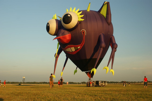 Ilustrasi Pemeran Film Animal Farm 2025 beserta Sinopsisnya Foto: Pexels/Debbie Walker