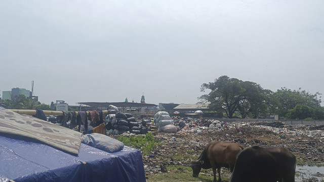 Penampakan lahan milik Perumnas yang diprotes penghuni Apartemen Sentraland Cengkareng karena pembakaran sampah, Jakbar, Jumat (30/5/2025). Foto: Thomas Bosco/kumparan