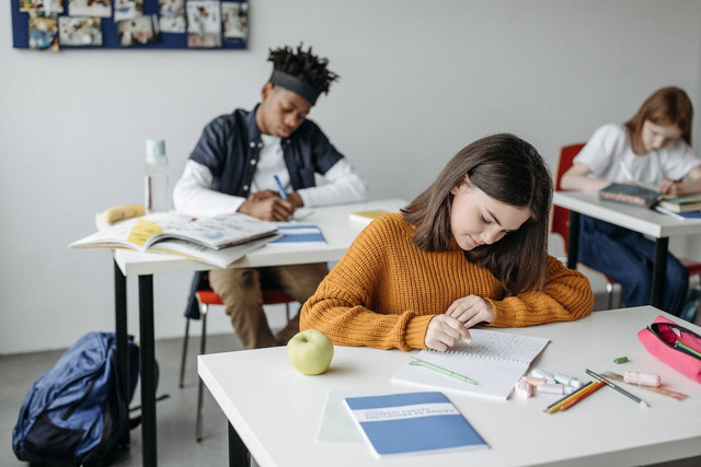 Ilustrasi untuk TP bahasa Indonesia kelas 6 semester 2 Kurikulum Merdeka. Sumber: pexels.com/Pavel Danilyuk 