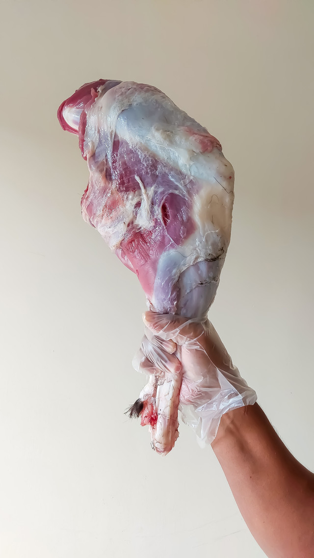 Ilustrasi daging kambing. Foto: RINDAWS/Shutterstock