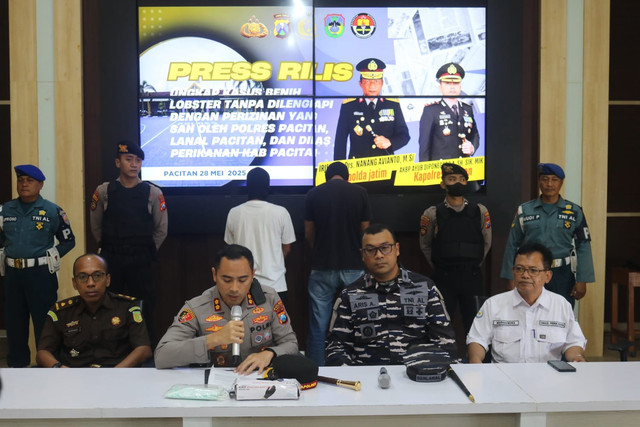 Polres Pacitan mengungkap upaya penyelundupan 27.650 ekor benih bening lobster (BBL) yang hendak dikirim ke wilayah Boyolali, Jawa Tengah. Foto: dok. Polres Pacitan