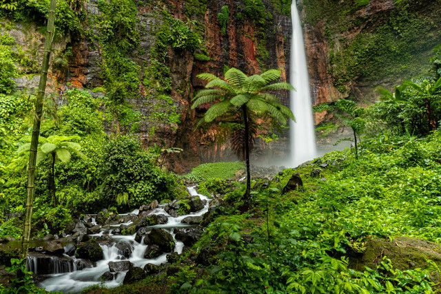 Kongres Global Pertama Masyarakat Adat dan Komunitas Lokal dari daerah Aliran Sungai Hutan di gelar di Brazzaville, Republik Kongo, pada 26 - 30 Mei 2025.
