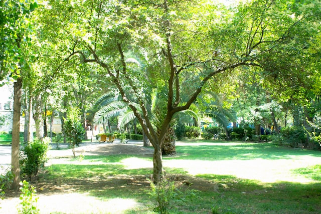 3 Taman di Jakarta Timur. Foto hanya ilustrasi, bukan sebenarnya. Sumber: unsplash.com/Elham Abdi