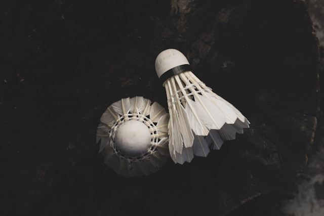 Ilustrasi Indonesia Open 2025. Foto: Unsplash  
