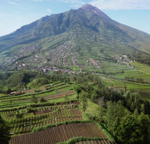 Lahan pertanian di kaki gunung Merapi. Desa Samiran, Kecamatan Selo, Kabupaten Boyolali, Jawa Tengah. Foto: Ahmad Bagus Manihtada/kumparan