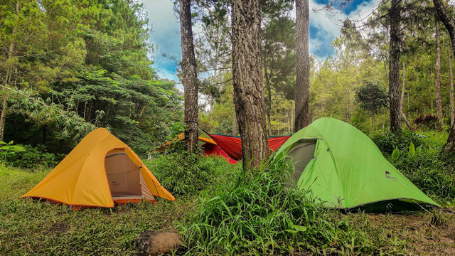 New Ciputri Camping Ground. Foto hanya ilustrasi, bukan tempat sebenarnya. Sumber: unsplash.com/Tyrex Scand.