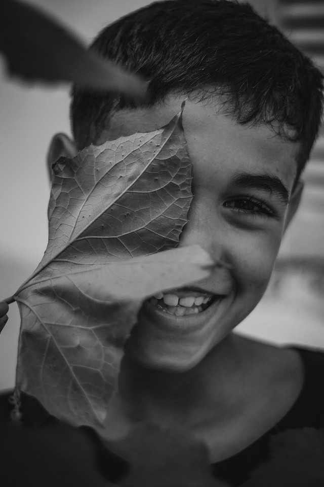 https://pixabay.com/id/photos/senyum-anak-laki-laki-anak-daun-6242237/