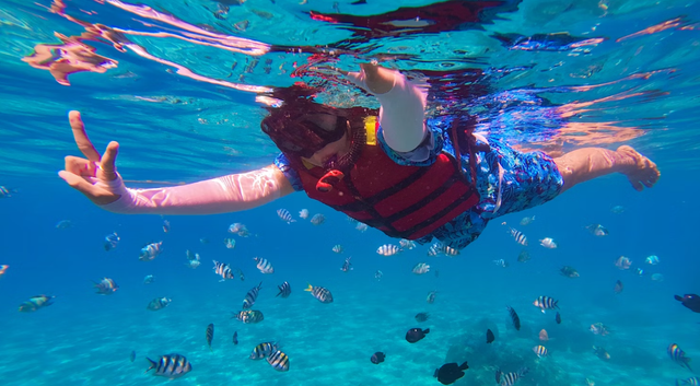 4 spot snorkeling banyuwangi. Foto Hanya Ilustrasi Bukan Tempat Sebenarnya. Sumber Foto: Unsplash/Betty Sun