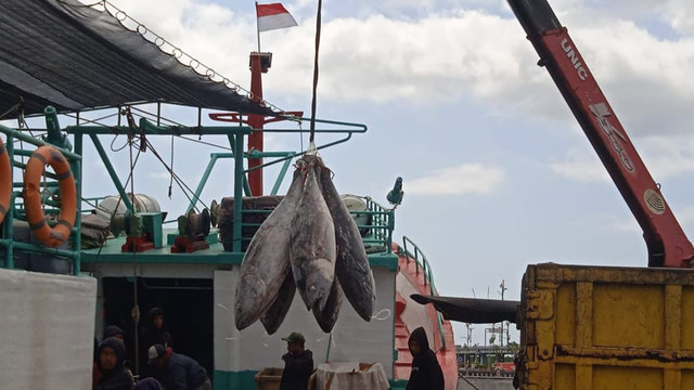 Aktivitas bongkar muatan hasil tangkapan ikan di pelabuhan perikanan (dokumentasi pribadi)