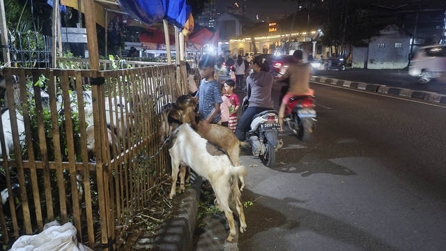 Potret lapak hewan kurban yang berdiri di atas trotoar jelang Idul Adha di Jalan KS Tubun, Petamburan, Tanah Abang, Jakarta Pusat, Rabu (4/6/2025). Foto: Thomas Bosco/kumparan