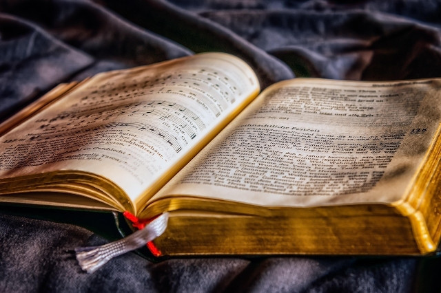 Ilustrasi Novel sebagai Objek Kajian Sastra Banding. Sumber : Pixabay.com