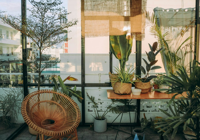Ilustrasi feng shui tanaman depan rumah. Unsplash.com/Thuan Pham