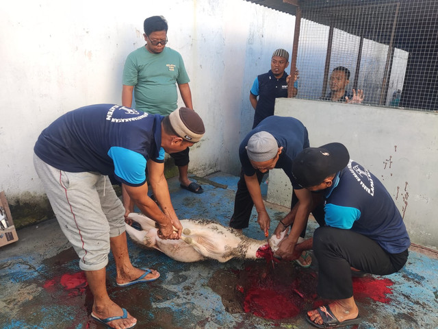 Lapas Klaten Berqurban 10 Ekor Kambing