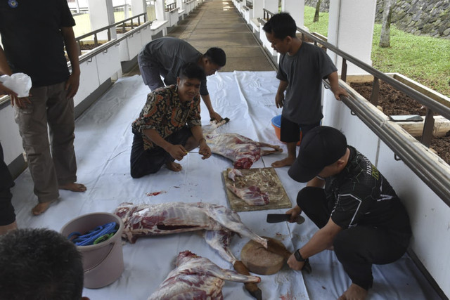 Kantor Pusat hingga UPT Kemensos Gelar Salat Idul Adha dan Sembelih Hewan Kurban. Foto: Dok. Istimewa