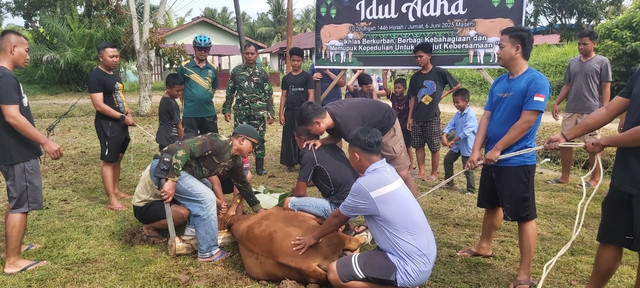 Kodim Mempawah melaksanakan penyembelihan hewan kurban. Foto: Dok. Istimewa