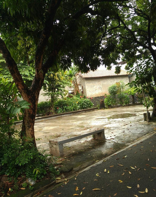 Koleksi Pribadi : Taman dekat rumah sehabis hujan di kota Tangerang