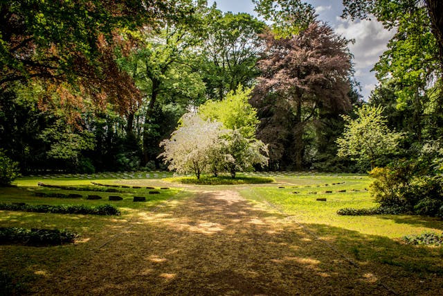 Taman Tirta Wangi. Foto hanya ilustrasi bukan sebenarnya. Sumber foto: Pexels/lalesh aldarwish