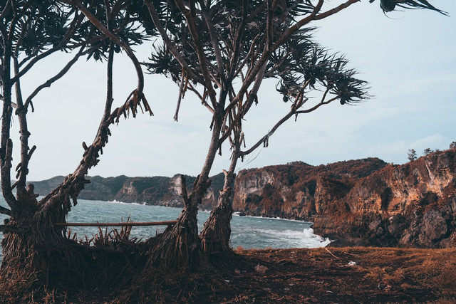 Wisata Jogja Instagramable. Foto hanya ilustrasi. Sumber foto: Pexel /Vicky Hermawan